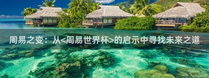 世界杯预选赛规则：周易之变：从<周易世界杯>的启示中寻找未来之道