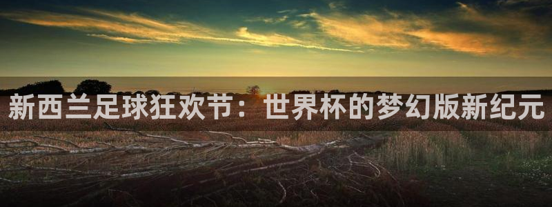 世界杯2026赛程表：新西兰足球狂欢节：世界杯的梦幻版新纪元