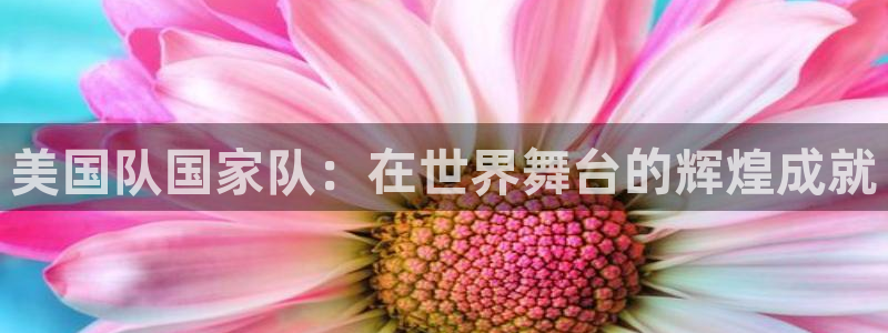 世界杯在线直播入口：美国队国家队：在世界舞台的辉煌成就