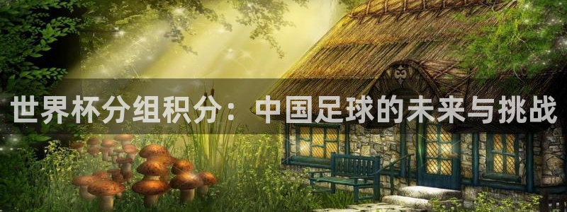 2026世界杯欧洲预选赛赛程表：世界杯分组积分：中国足球的未来与挑战
