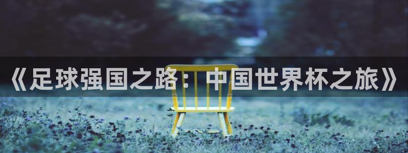 2026世界杯亚洲预选赛：《足球强国之路：中国世界杯之旅》