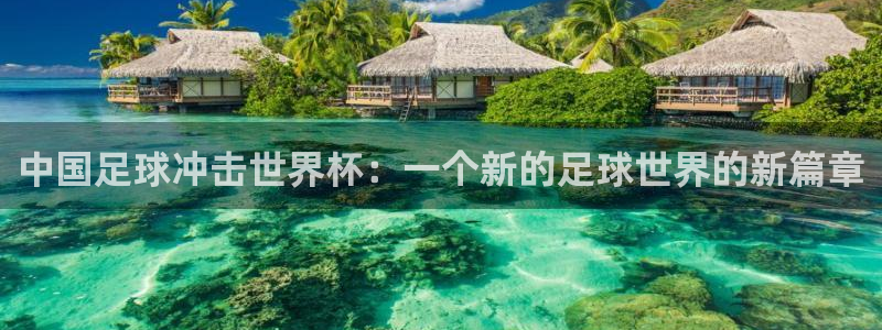 亚洲杯足球：中国足球冲击世界杯：一个新的足球世界的新篇章