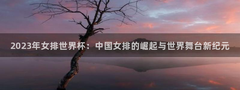2026世界杯赛程表完整版：2023年女排世界杯：中国女排的崛起与世界舞台新纪元
