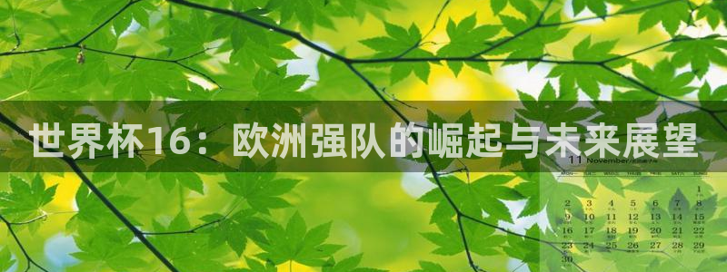 世界杯2026赛程表：世界杯16：欧洲强队的崛起与未来展望