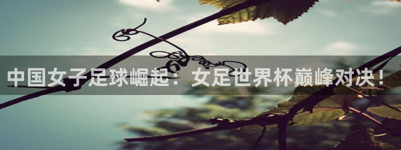 世俱杯直播：中国女子足球崛起：女足世界杯巅峰对决！