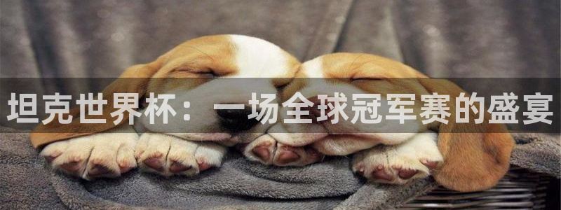 世界杯赛程表2026：坦克世界杯：一场全球冠军赛的盛宴