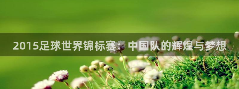 世界杯预选赛2026：2015足球世界锦标赛：中国队的辉煌与梦想