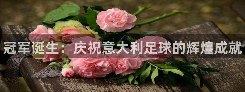 世界杯 直播：冠军诞生：庆祝意大利足球的辉煌成就