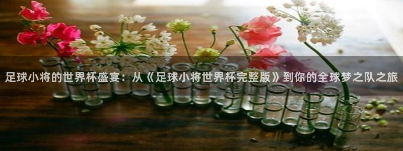 看世界杯：足球小将的世界杯盛宴：从《足球小将世界杯完整版》到你的全球梦之队之旅