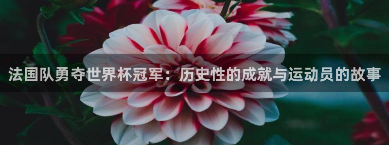 足球世界杯：法国队勇夺世界杯冠军：历史性的成就与运动员的故事
